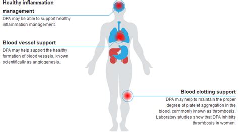 docosapentaenoic acid benefits